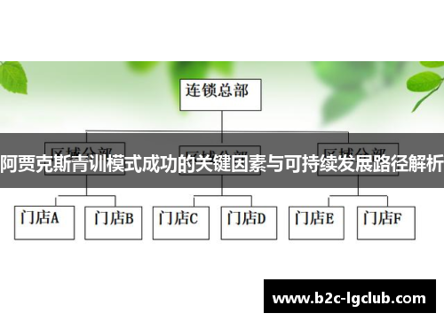阿贾克斯青训模式成功的关键因素与可持续发展路径解析